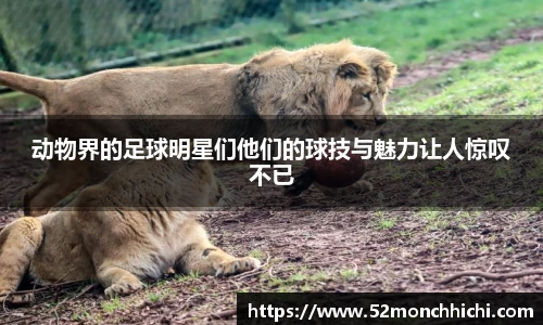 动物界的足球明星们他们的球技与魅力让人惊叹不已